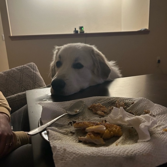 Welcome to our Posh!! - Picture 7 of 17